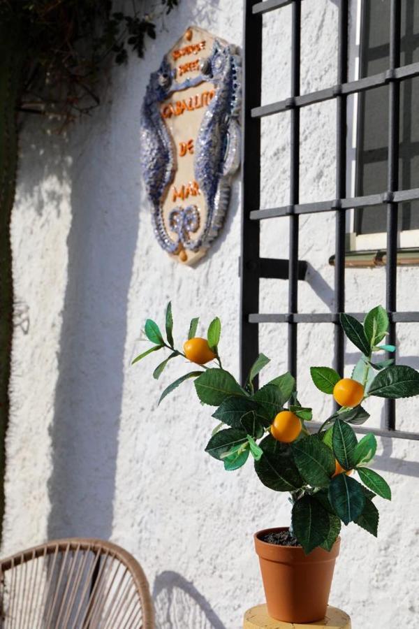Casa Caballito De Mar Boutique B&B Bédar Exterior foto