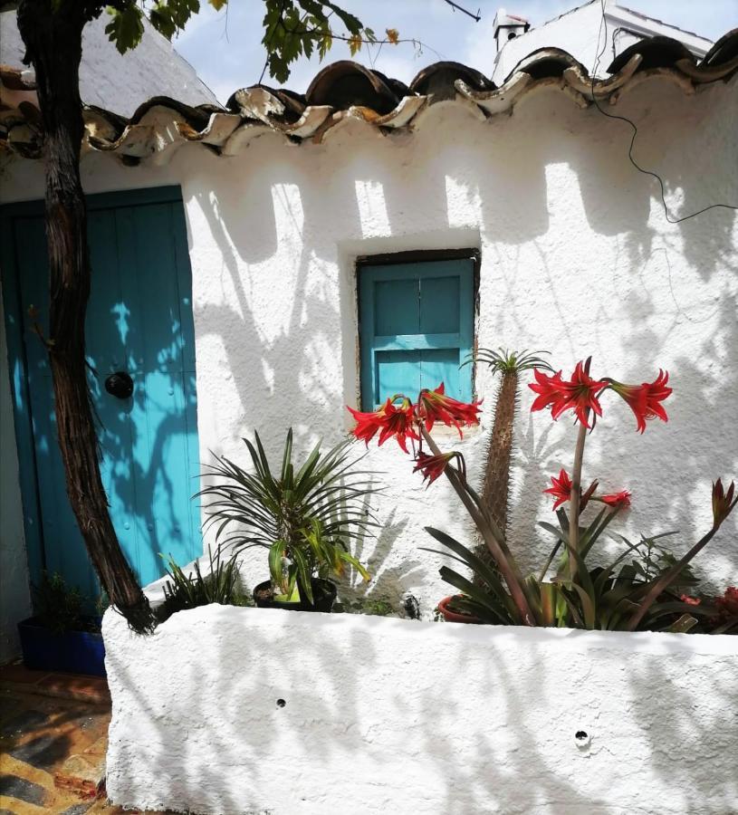 Casa Caballito De Mar Boutique B&B Bédar Exterior foto